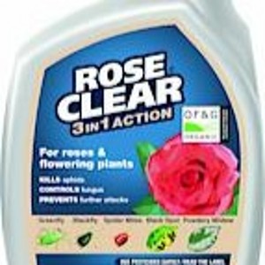 Rose Clear 3in1 800ml RTU